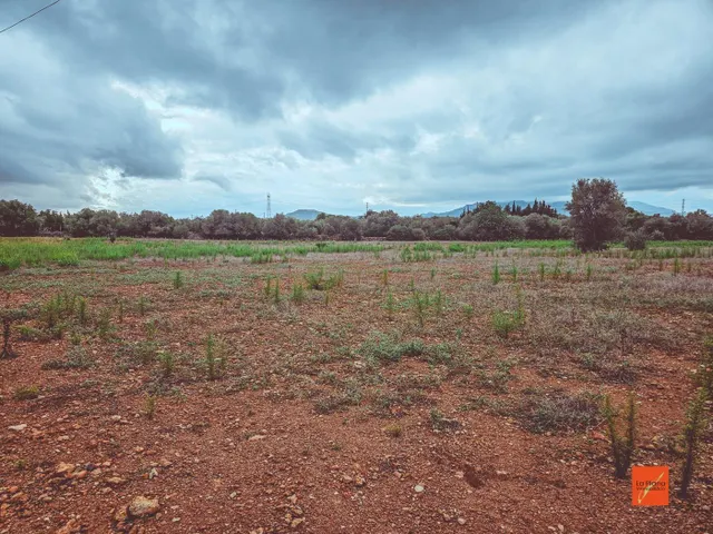 FINCA RUSTICA EN VENTA EN SANTA BARBARA (TARRAGONA) - foto 5