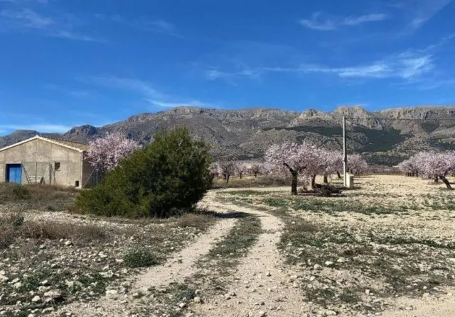 ESPECTACULAR FINCA EN VÉLEZ RUBIO - foto 4