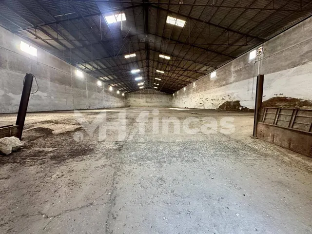 ACTIVO INDUSTRIAL ESTRATÉGICO EN MAIRENA DEL ALCOR - foto 4