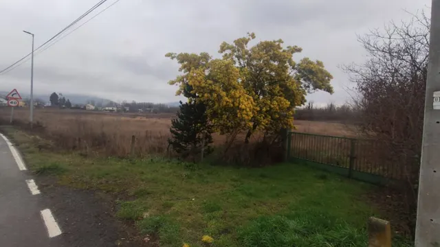 Venta finca de 18.270 M2 en Cacabelos - foto 4