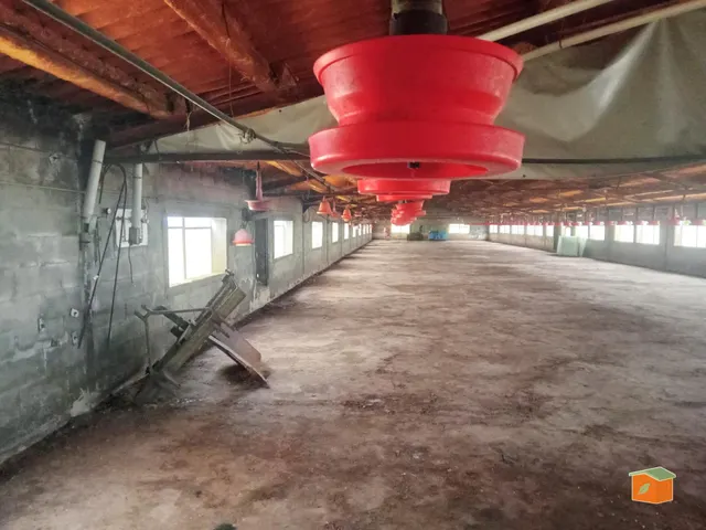 GRANJA DE PAVOS EN VENTA EN SANTA BARBARA (TARRAGONA) - foto 4