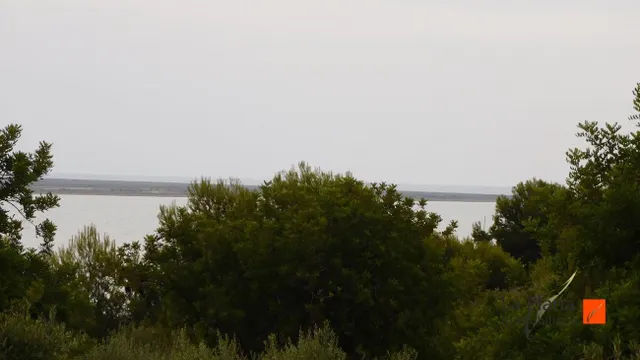 GRAN OPORTUNITAT FINCA RUSTICA EN ALCANAR-PLAYA (TARRAGONA) - foto 2