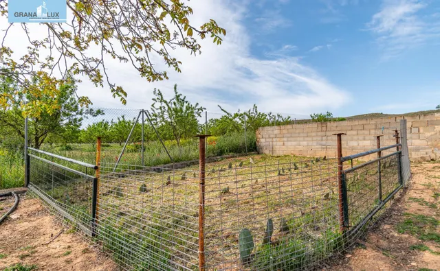 Finca rústica en venta con casa, nave y piscina - foto 5