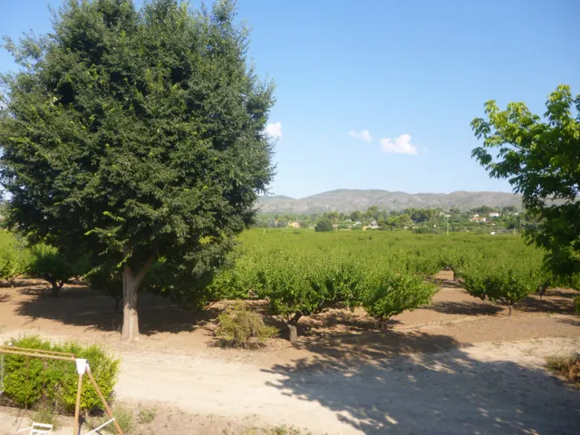 Finca cercana al casco urbano - Ontinyent
