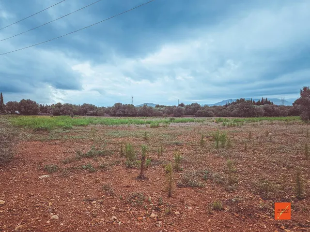 FINCA RUSTICA EN VENTA EN SANTA BARBARA (TARRAGONA) - foto 4