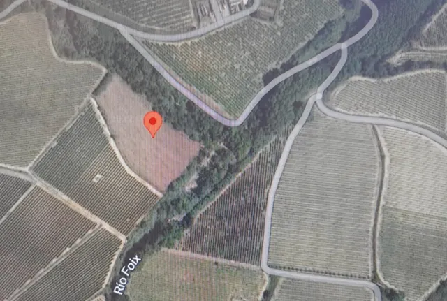 Se vende terreno para iniciar viña -Les Masuques