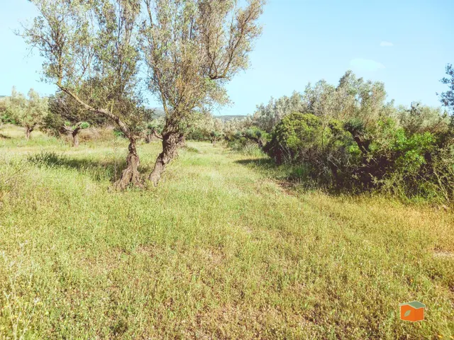 FINCA RUSTICA EN VENTA EN ULLDECONA (TARRAGONA) - foto 2