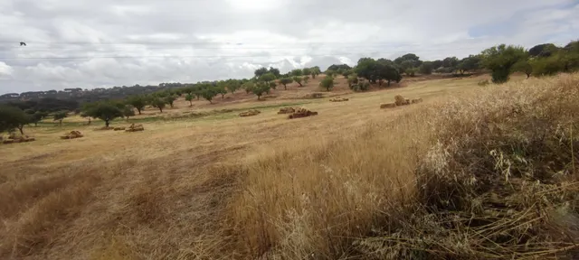 Finca rústica de 61900 m2 - foto 3