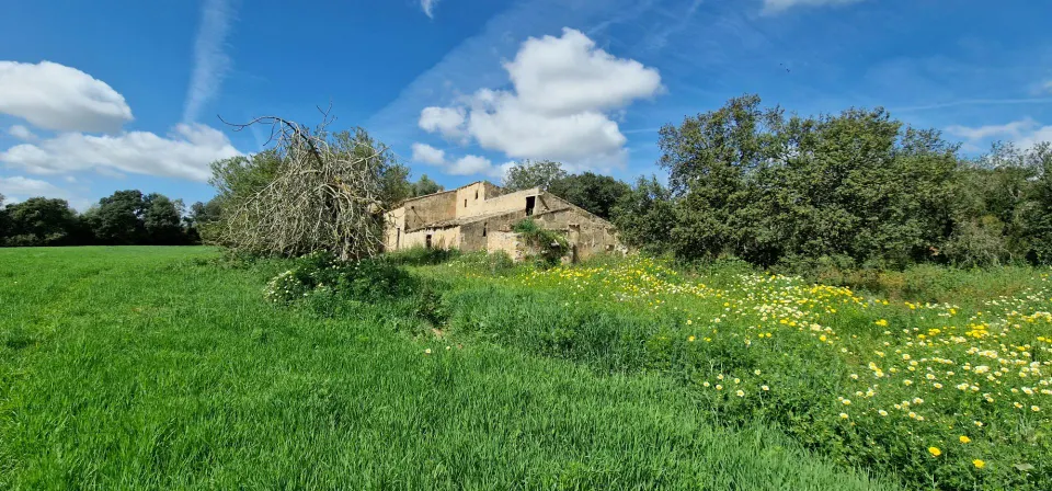 FINCA RÚSTICA EN VENTA EN MANACOR