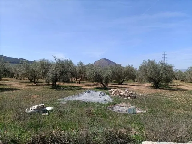 Finca rústica en venta - foto 3