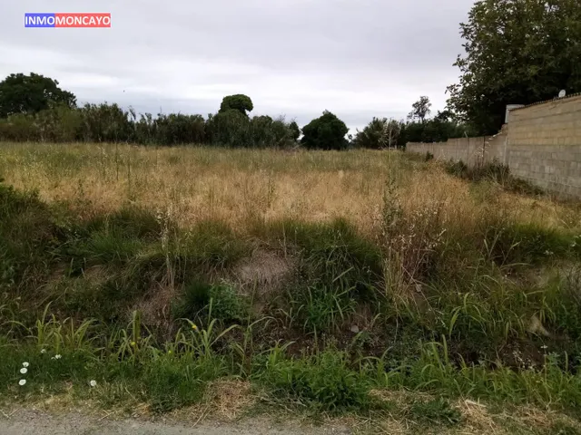 SE VENDE FINCA RÚSTICA EN CARRETERA CUNCHILLOS (TARAZONA)