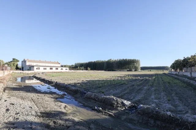 Gran finca Rústica y Urbana de 23.000 metros y construcción  - foto 2
