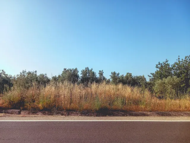 FINCA RUSTICA EN VENTA EN ULLDECONA (TARRAGONA) - foto 2