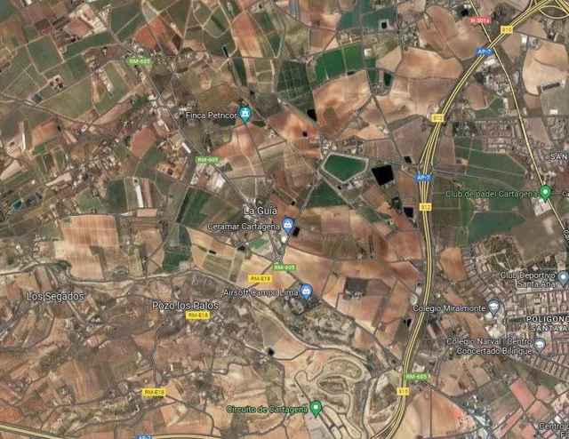 Se vende terreno rústico de 3.000 m2 cercados entre la GUIA  - foto 4