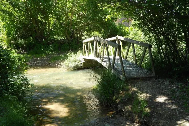 SE VENDE FINCA RÚSTICA EN TORRELLAS (ZARAGOZA) - foto 2