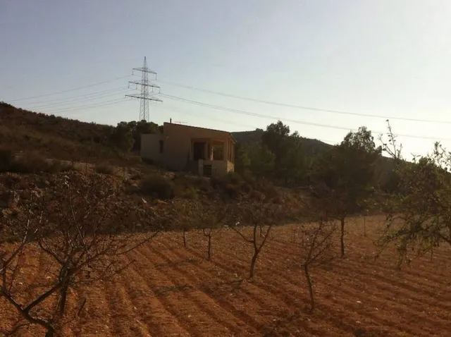 FINCA CON CASA REFORMADA Y BODEGA EN EL SEMISOTANO - foto 3