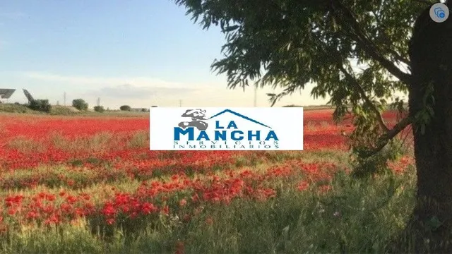 INMOBILIARIA LA MANCHA VENDE TERRENO RUSTICO ZONA POLIGONO C - foto 2
