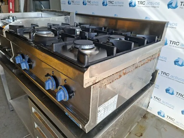 Cocina Profesional de Gas Edesa - foto 4