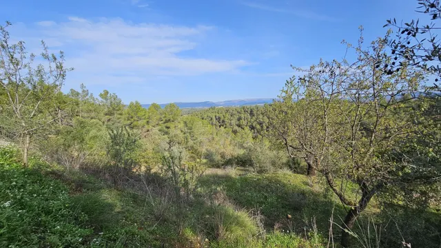 ¡Venta de Camping para desarrollo aprobado, en suelo rustico - foto 5