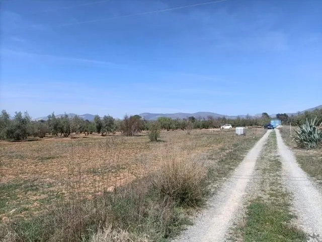Finca rústica en venta