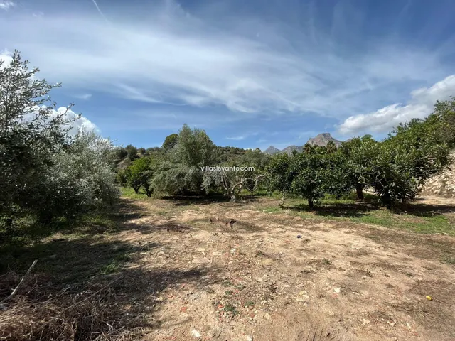 FINCA RUSTICA PARA USO AGRARIO - foto 4