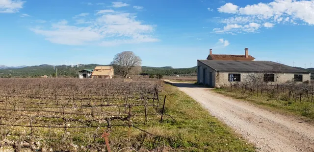 Exclusiva Finca Rústica de 60 hectáreas, con bodegas, 2 vivi - foto 2