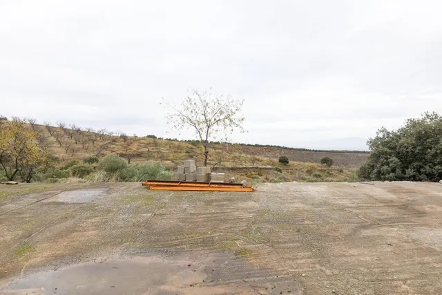 Magnífica finca de 400 olivos en Monachil - foto 5
