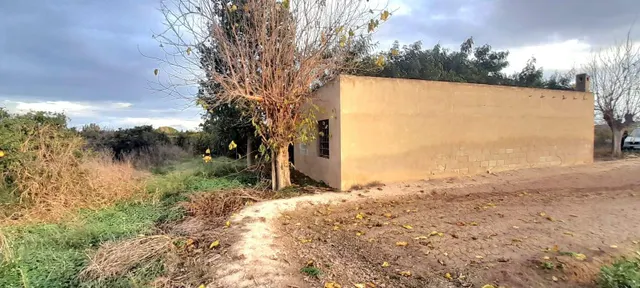 TERRENO 10601M2 CON ALMACEN - foto 2