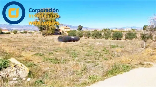 Parcela en zona urbana en Purias