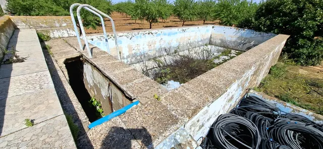 Finca Rústica en Utrera – 25.757 m2 con Almendros - foto 5