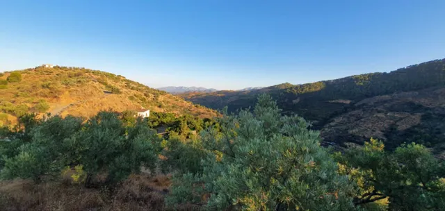 Finca Rústica regadío en Yunquera - foto 3