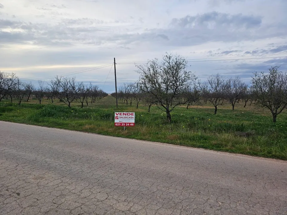 PARCELA DE TERRENO RUSTICO