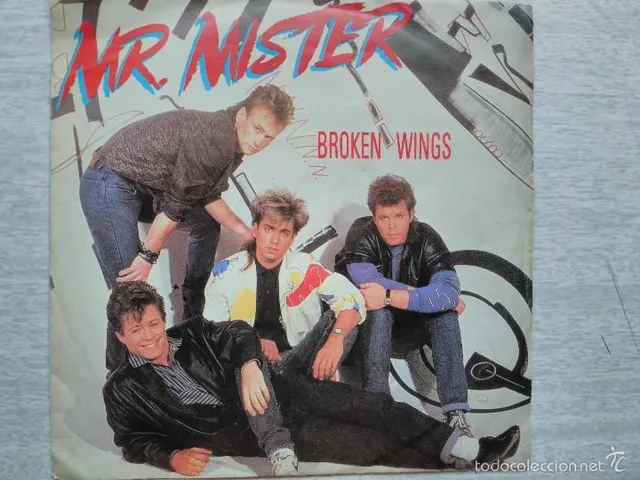 MR MISTER BROKEN WINGS