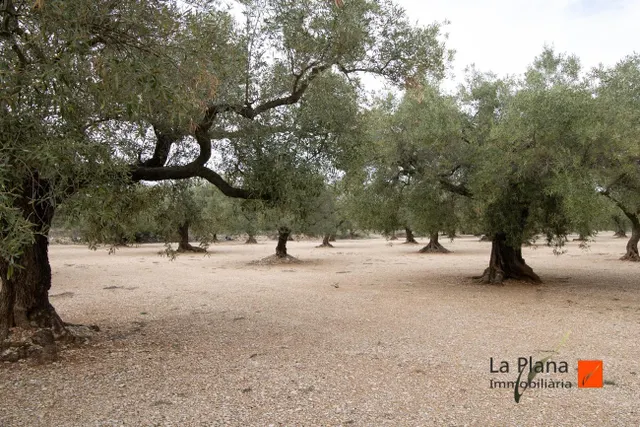 FINCA "ROSSEC" EN VENTA EN GODALL (TARRAGONA) - foto 2