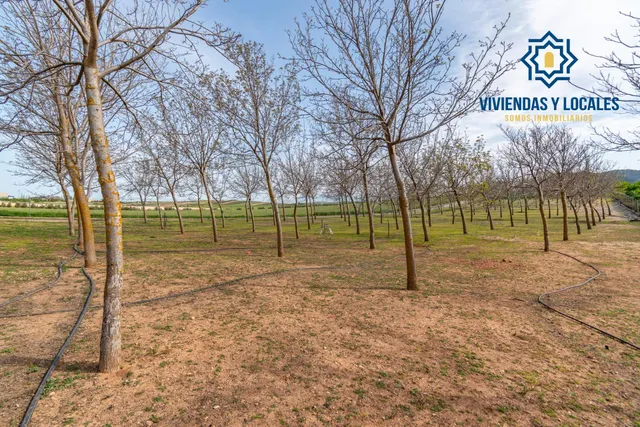 Finca rústica en venta con casa, nave y piscina - foto 3