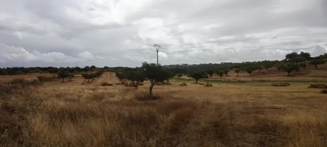Finca rústica de 61900 m2