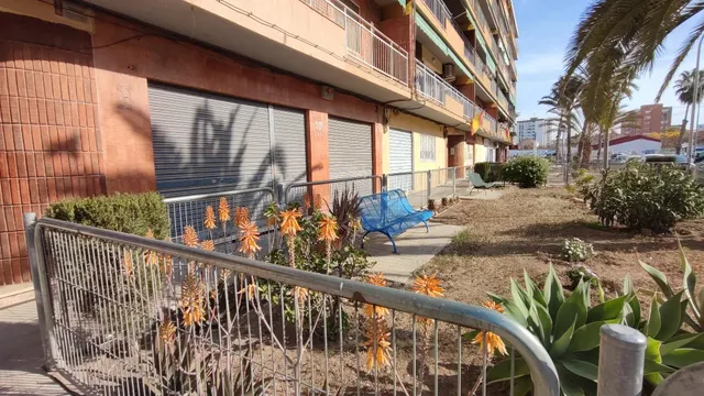 Alquiler local en barrio La Tómbola / Alicante - foto 2