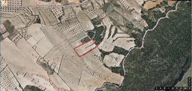 SE VENDE O SE ALQUILA TERRENO RUSTICO CON ALMENDROS EN PRODU