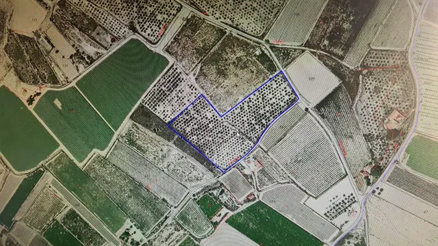 Gran Parcela Rústica de Más de 20.000 m2 en Monforte del Cid