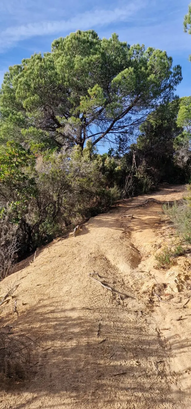 RUSTICA EN SANT CEBRIÀ DE VALLALTA - foto 5