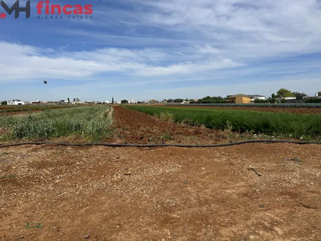 Parcela rustica junto al Gordillo 8800Mt2 - foto 4